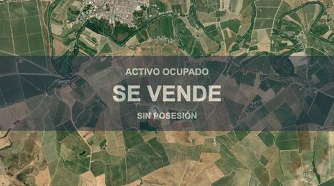 Foto 3 de Pis en venda a Palma del Río, Córdoba