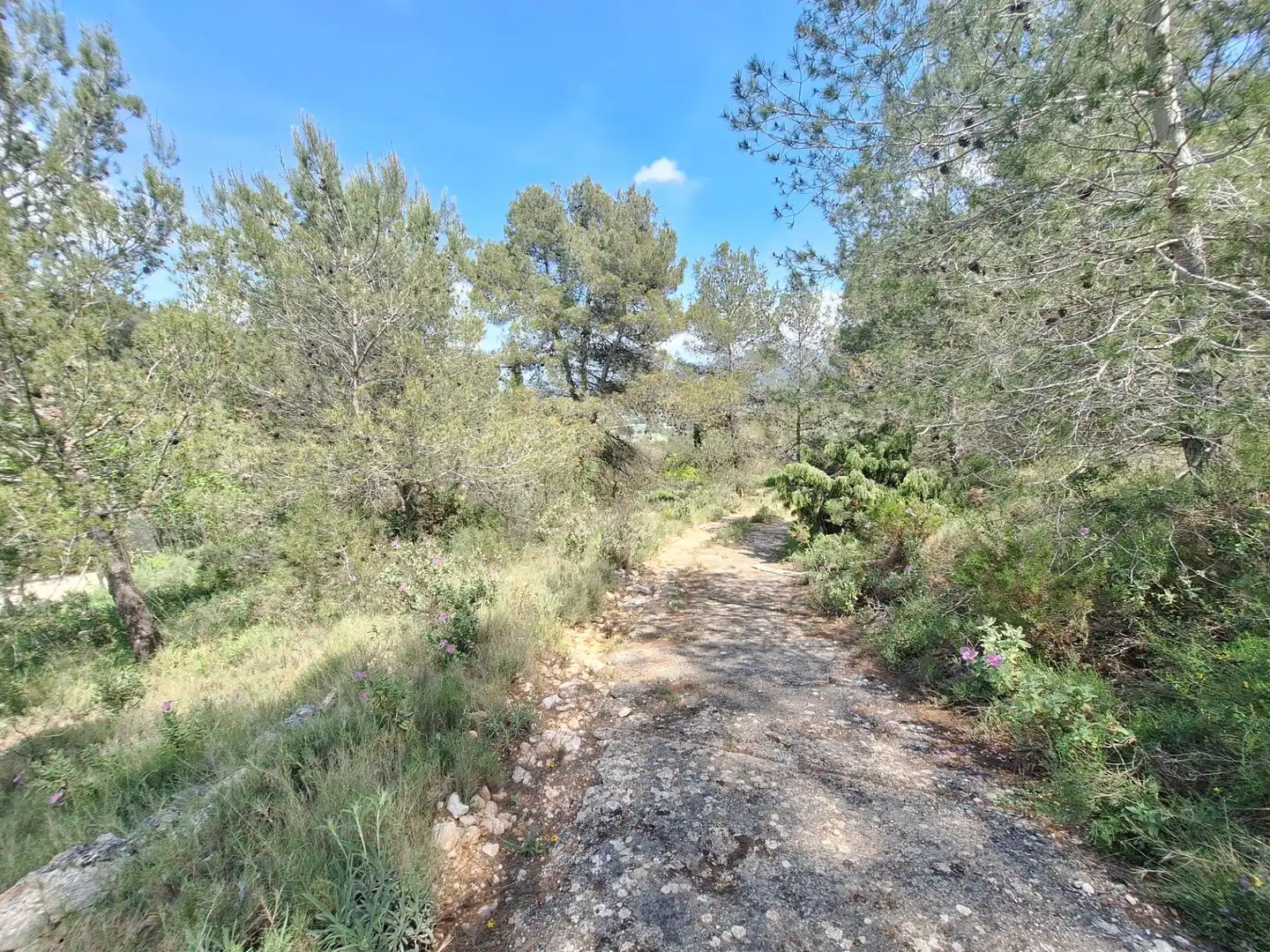 Finca rústica en venta en Alcoy / Alcoi con Trastero y Amueblado