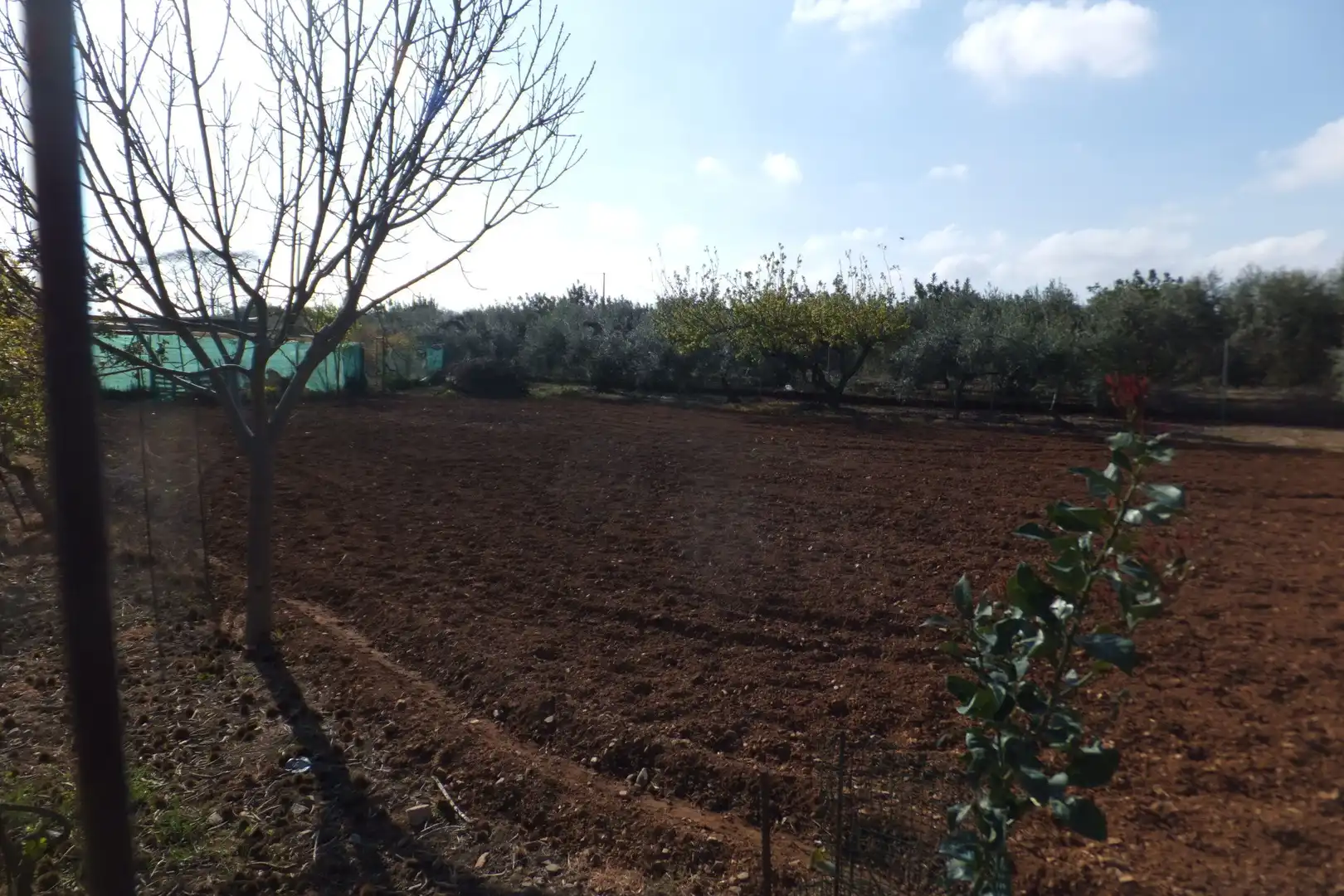 Terreno residencial en venta en Riudoms, imagen 44