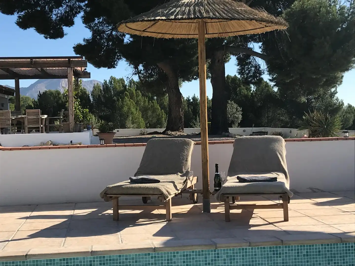 Country house for sale in Chirivel, imagen 13