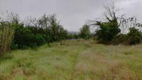 Land for sale in Albocàsser