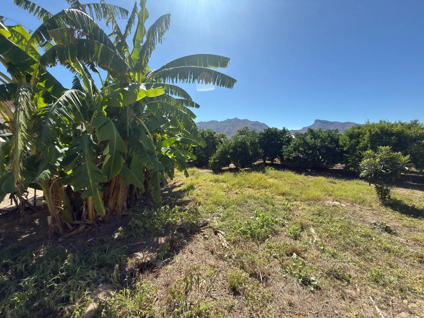 Detached house with pool for sale in Lugar MATANZA 292, imagen 77