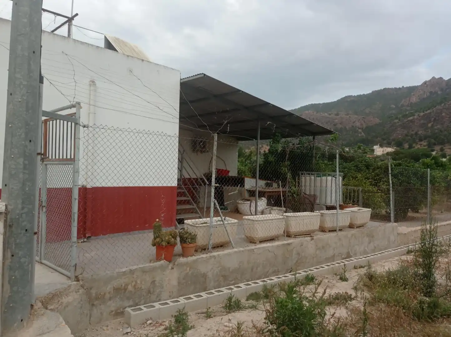 Vista exterior de Finca rústica en venda en Murcia amb Jardí privat, Traster i Moblat