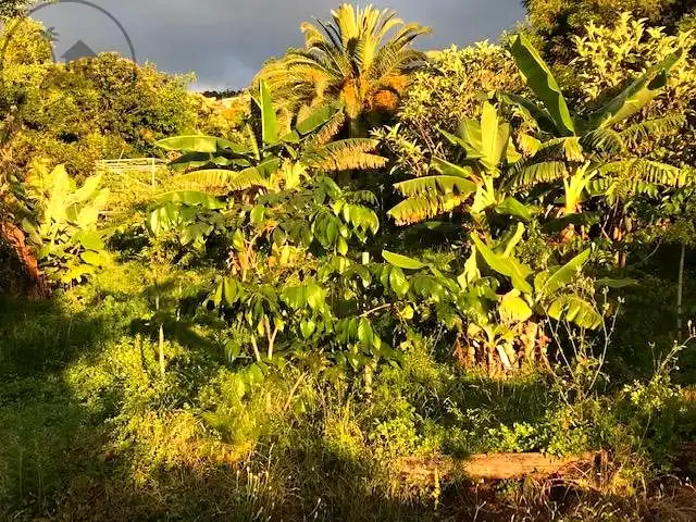 Finca rústica en venda en La Orotava amb Jardí privat i Terrassa