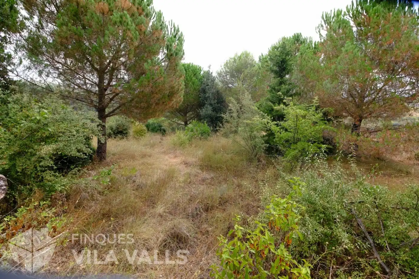 Terrenys i solars en venda a vinyetes, imagen 19