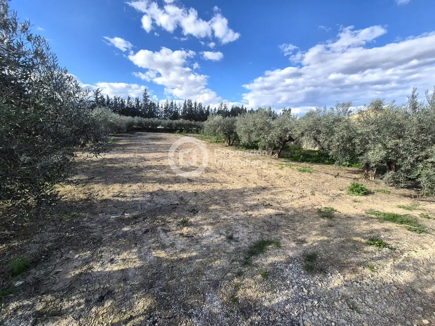 Finca rústica en venta en Lorca con Jardín privado