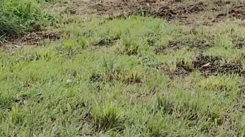 Foto 4 de Casa o chalet en venta en Dorneda, Oleiros