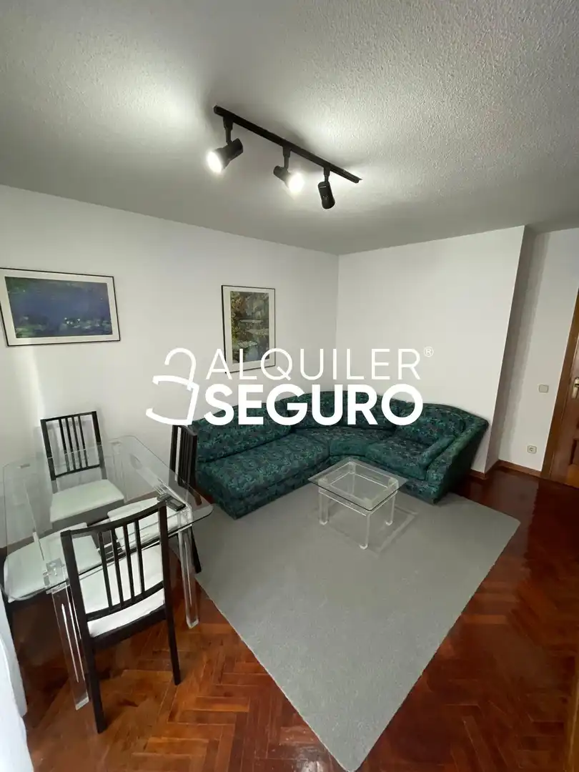 Sala d'estar de Pis de lloguer en Madrid amb Aire condicionat, Calefacció i Moblat