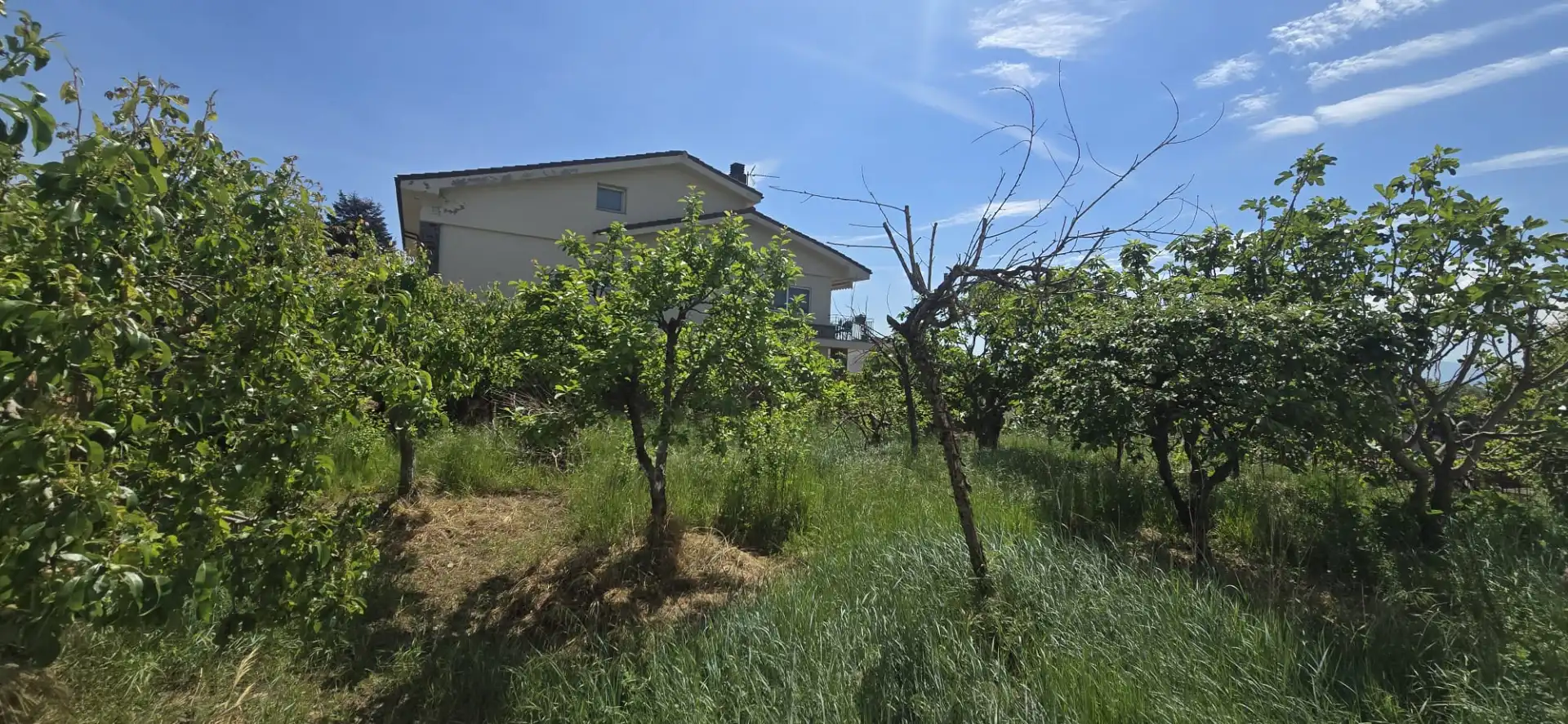 Wohnbaugrundstück zum Verkauf in Manlleu