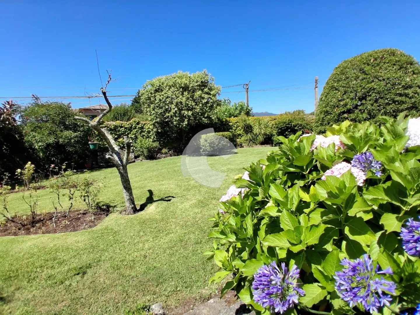 Garden of Houses for sale in Nigrán  with Private garden