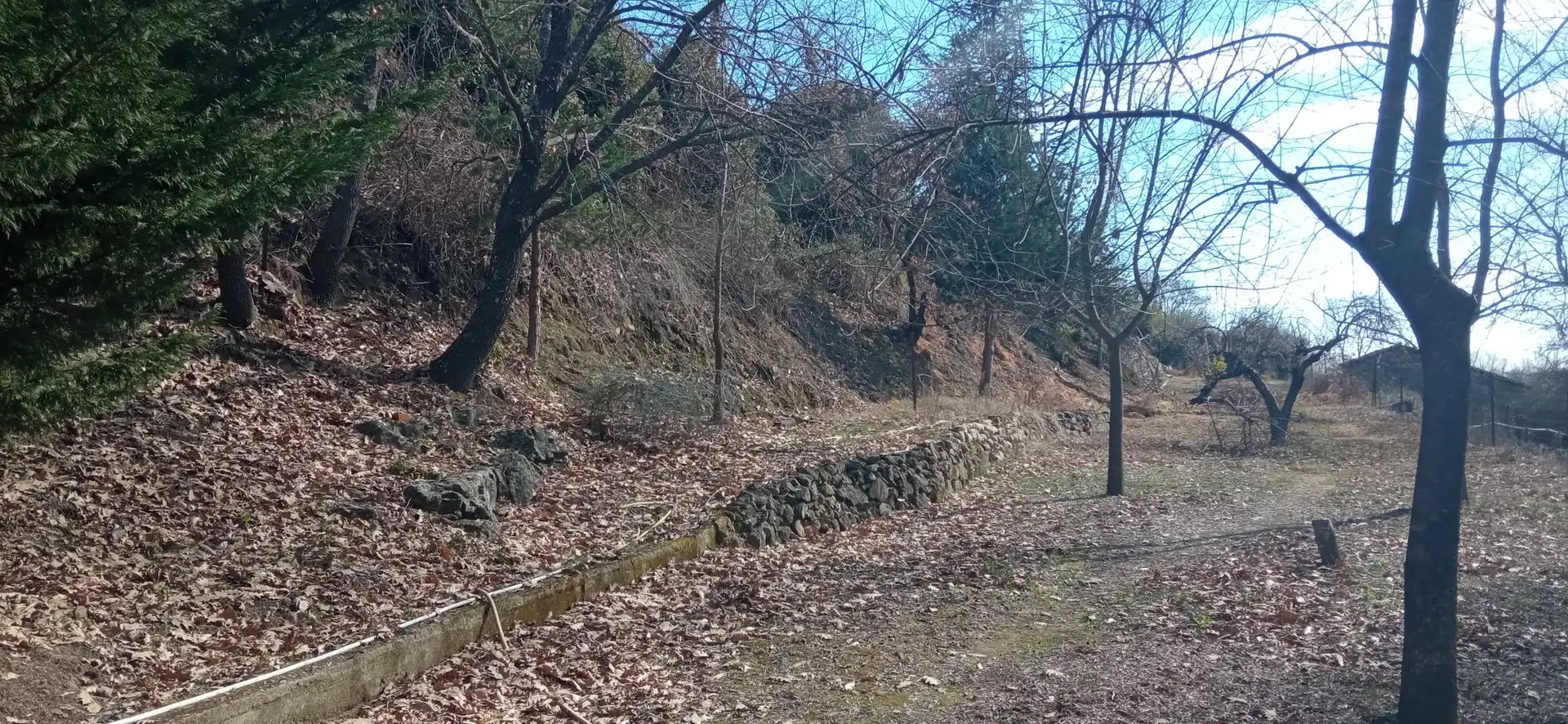 Terreni e lotti in vendita a EX-203 7, imagen 8