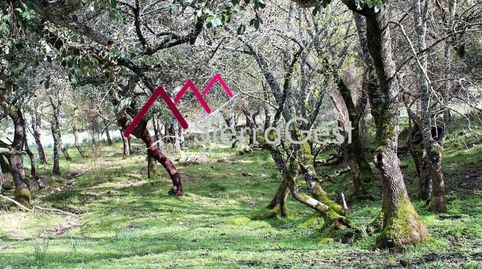 VENTA FINCA RÚSTICA CORTES DE LA FRA., imatge 3