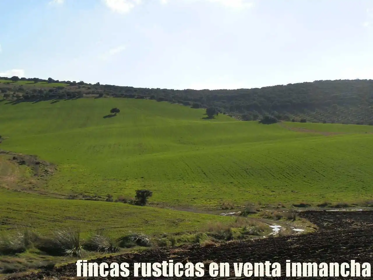 Terreny rústic en venda a Viso del Marqués, imagen 4