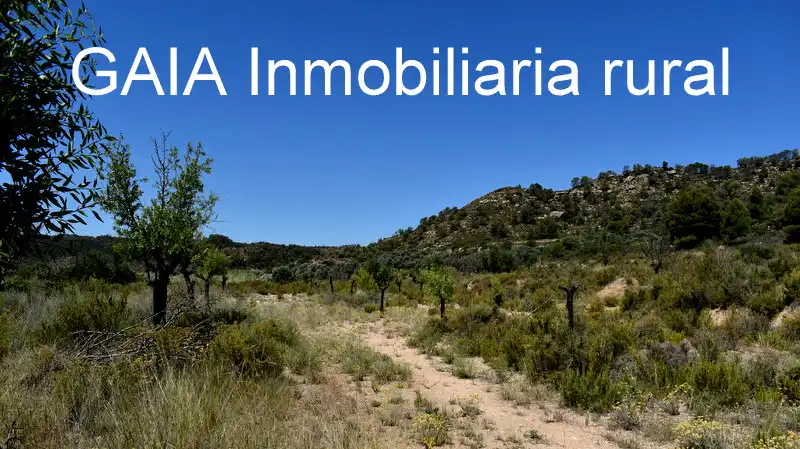 Finca rústica en venda en Batea