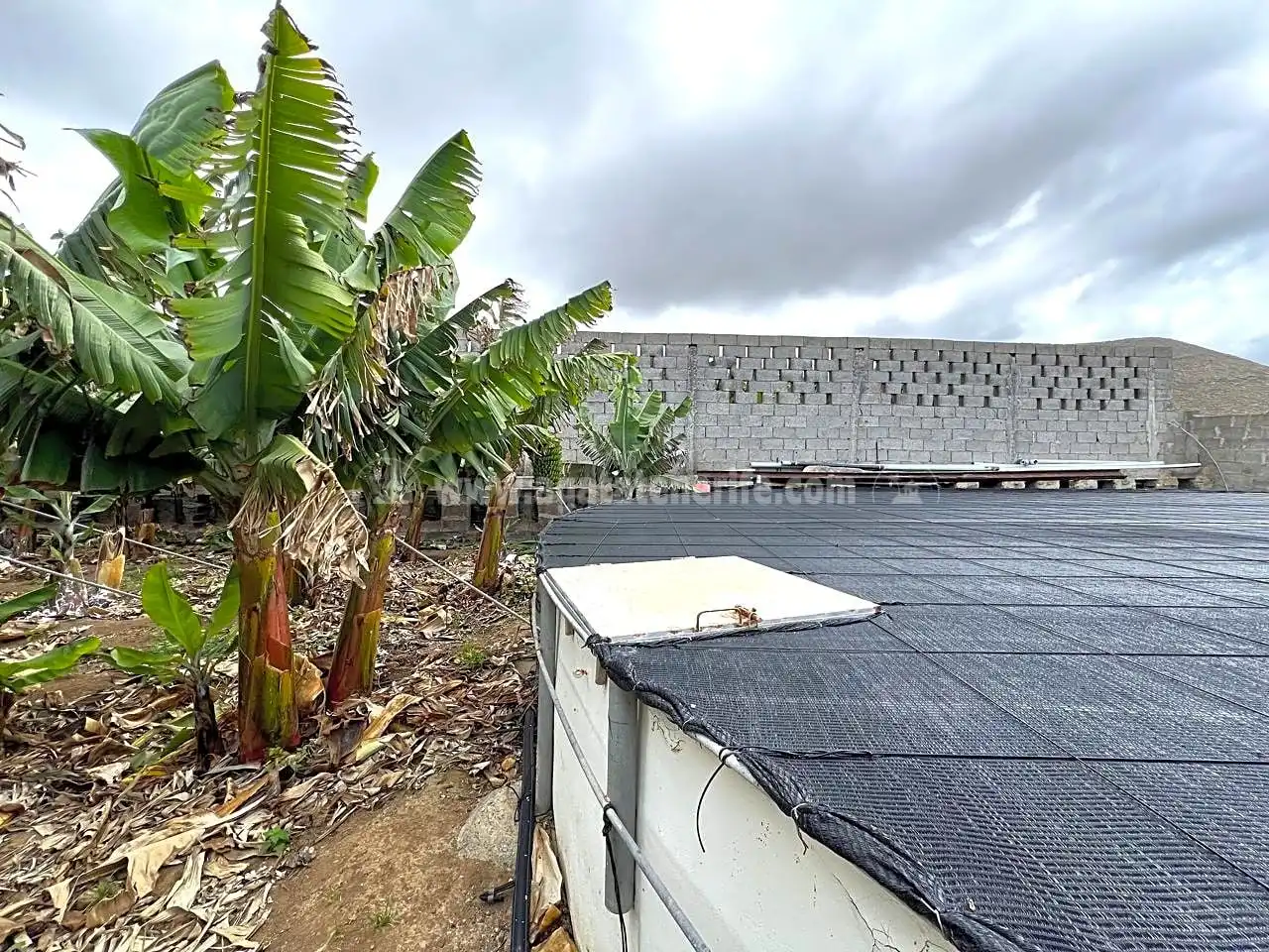 Finca rústica en venta en Los Silos con Jardín privado y Terraza
