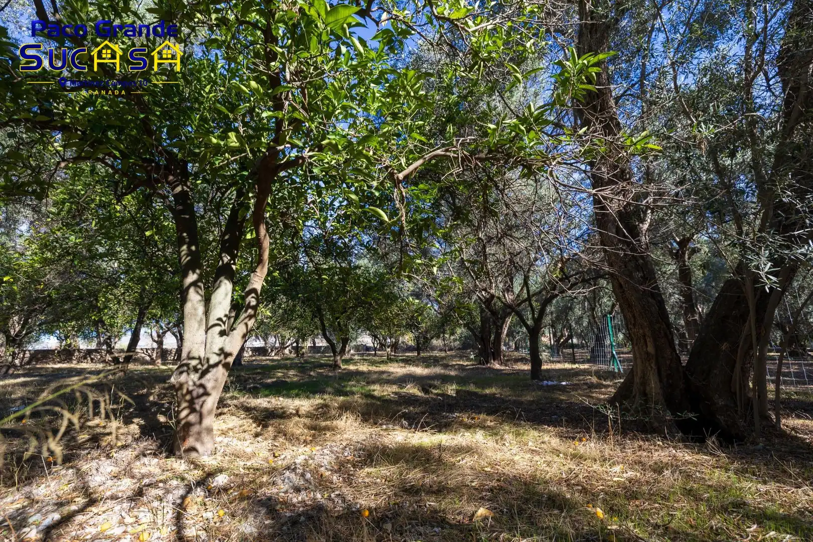 Terreno rustico in vendita a PINOS DEL VALLE, imagen 13