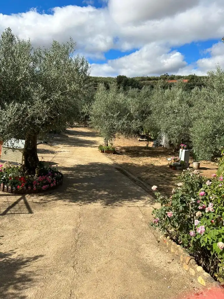 Garden of Houses for sale in Logrosán  with Private garden, Terrace and Swimming Pool
