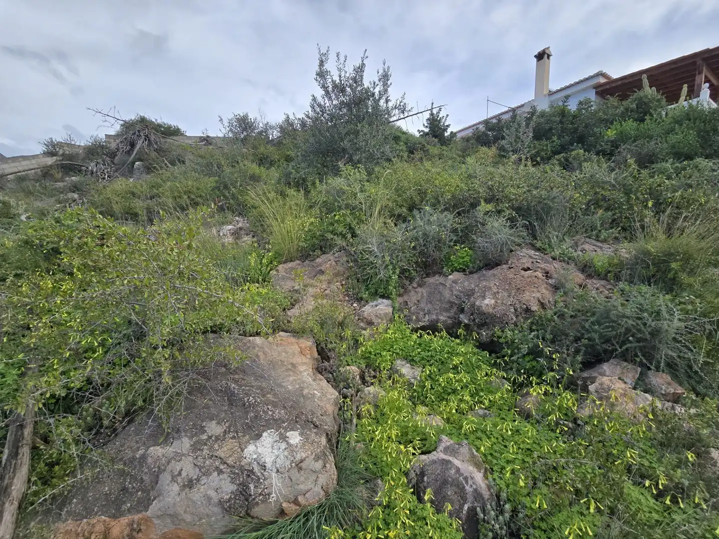 Lands and plots for sale in Vélez de Benaudalla, imagen 17