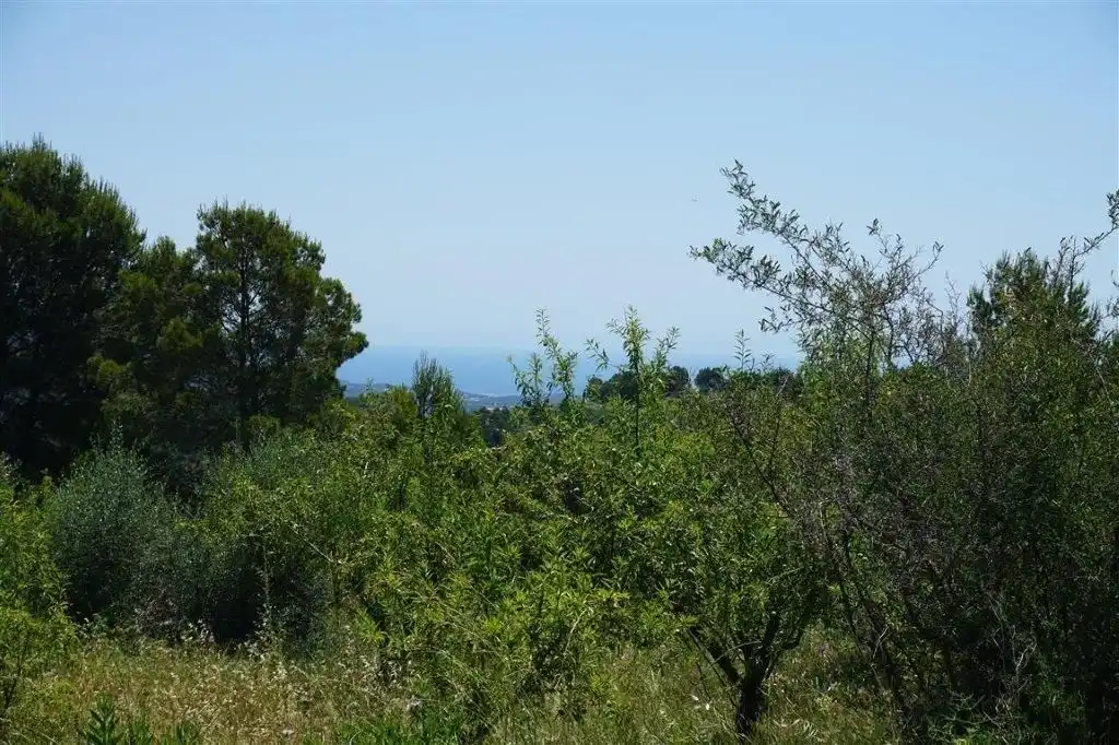Land for sale in El Castell de Guadalest
