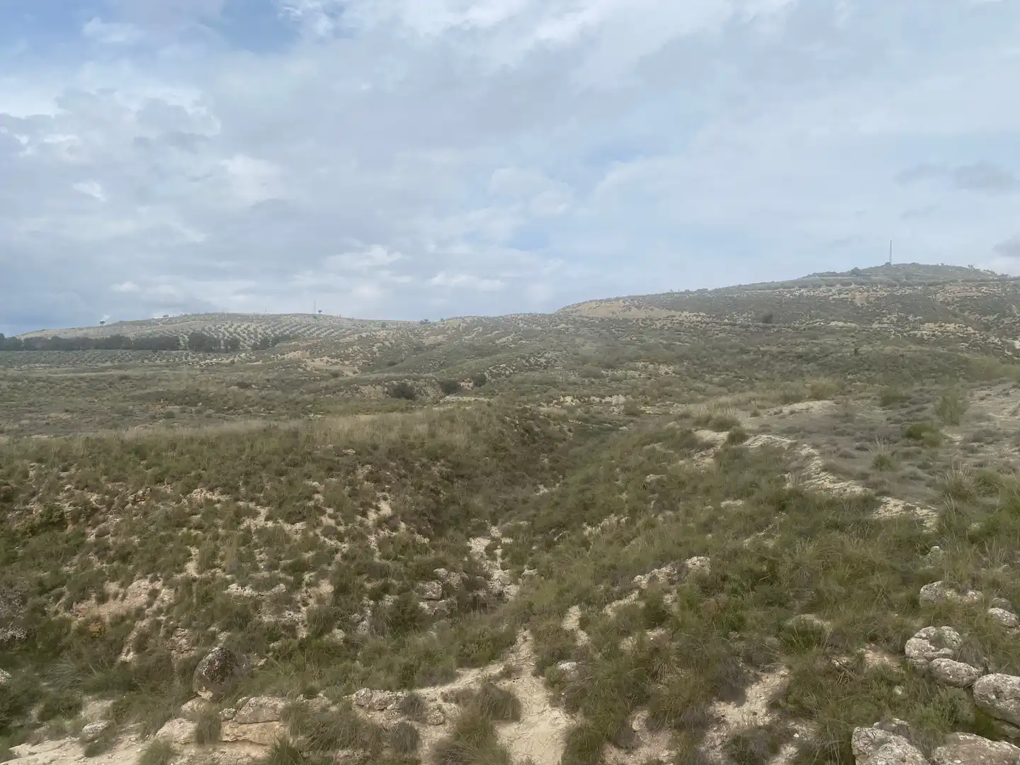 Rural land for sale in Calle Infanta Paz
