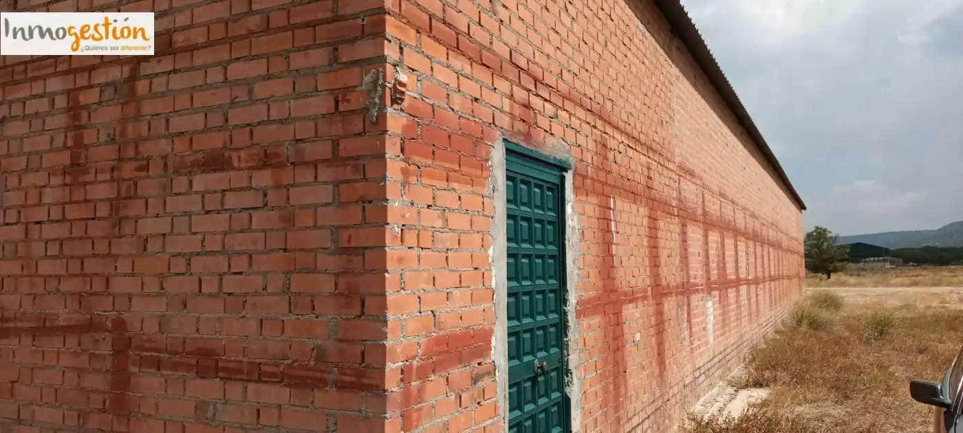 Terreno rústico en venta en Sardón de Duero, imagen 3