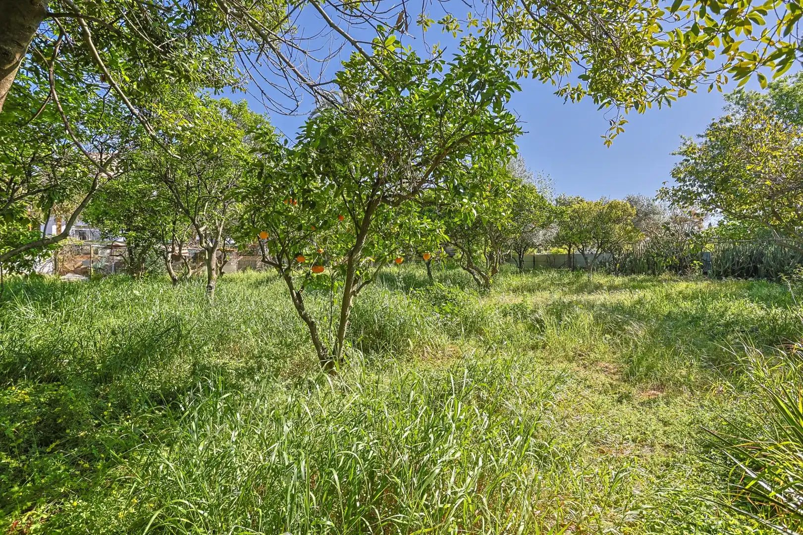 Casa o xalet en venda en Sanlúcar la Mayor amb Aire condicionat i Piscina