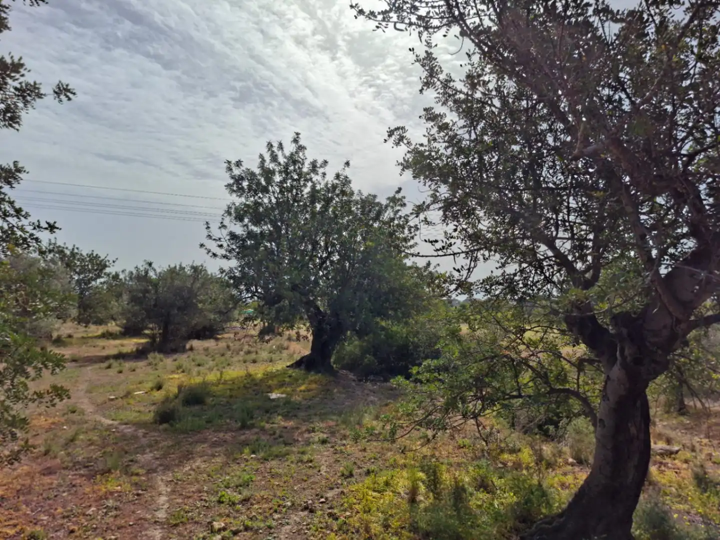Wohnbaugrundstück zum Verkauf in Altea ciudad, imagen 5