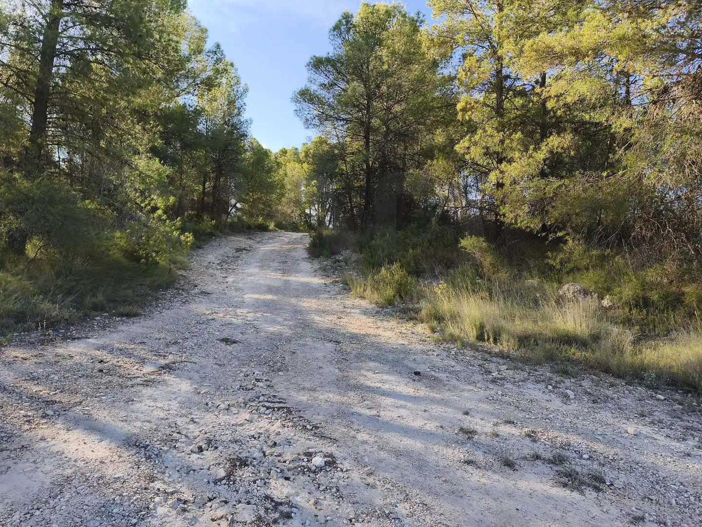 Terreno rustico in vendita a Moratalla, imagen 29