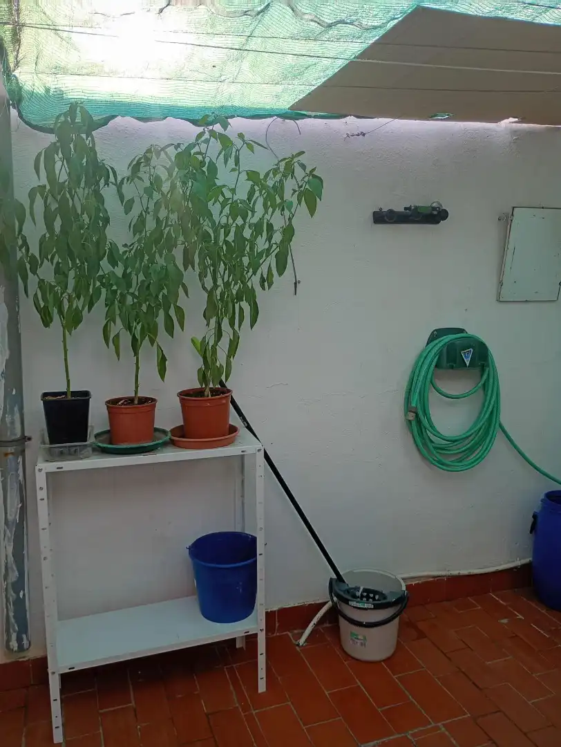 Adossat en venda a Periurbano Oeste - Sierra, imagen 32