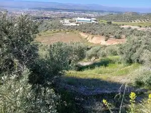 Terreni e lotti in vendita a Atarfe, imagen 7
