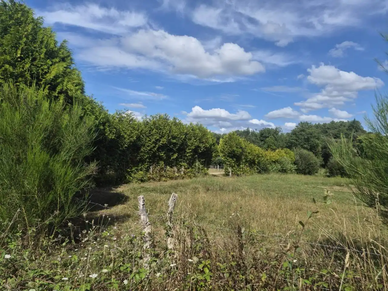 Casa o xalet en venda en Oza dos Ríos