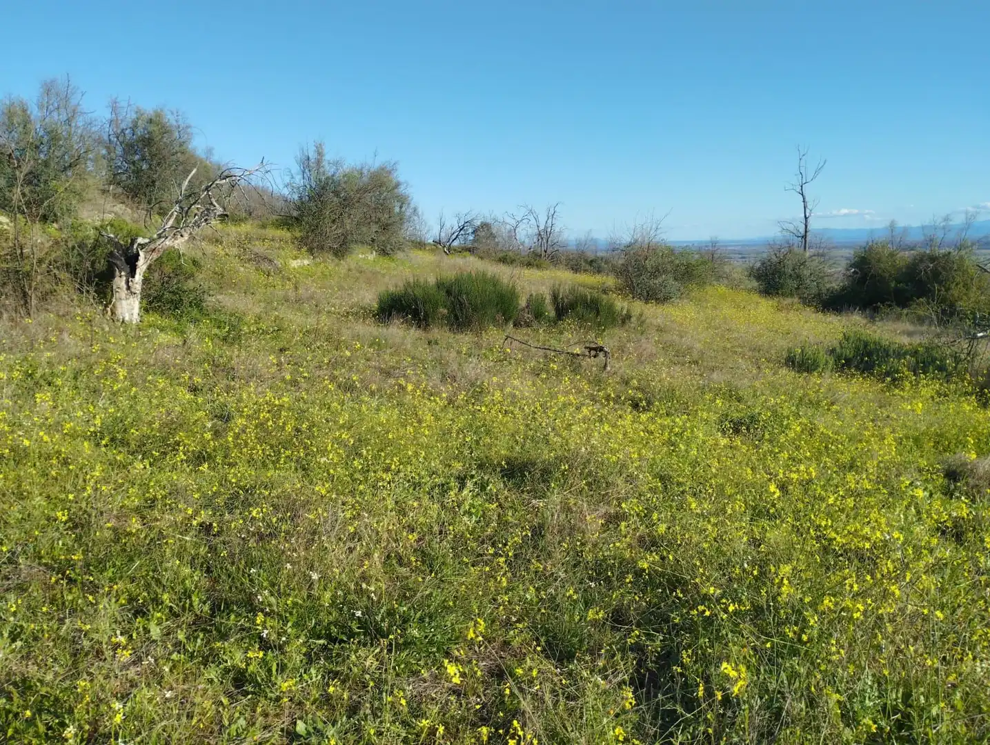 Terreni e lotti in vendita a Viandar de la Vera