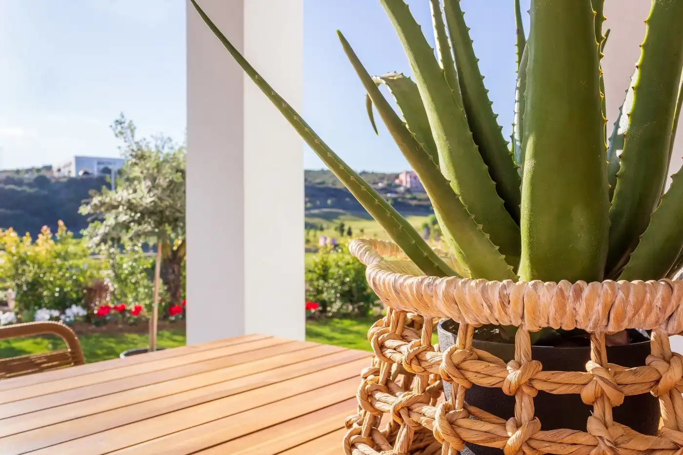 Apartament amb terrassa en venda a Playa Bahía Dorada, imagen 6