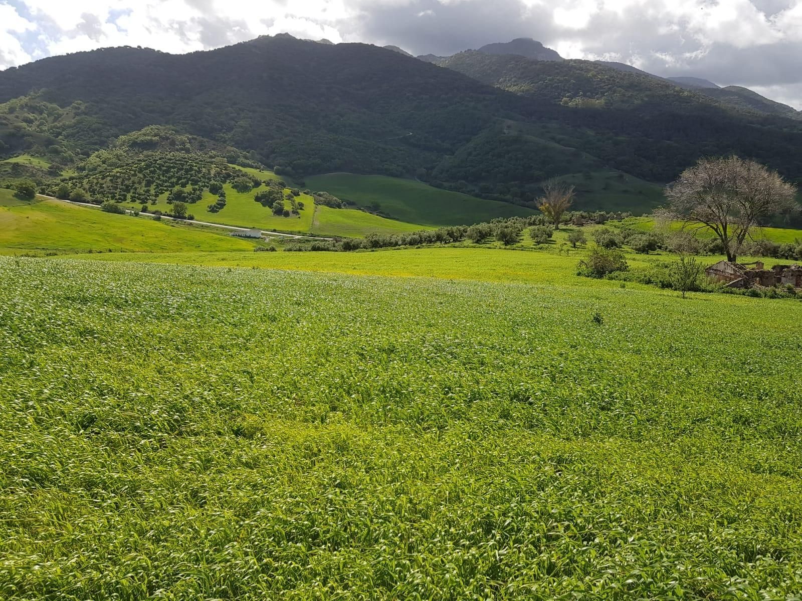 Residencial en venda a Zahara