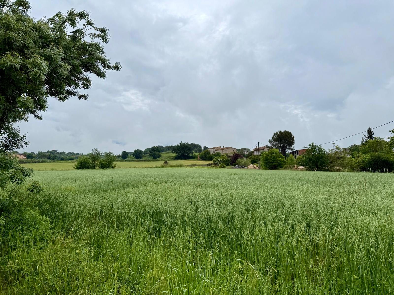 Land for sale in Porqueres