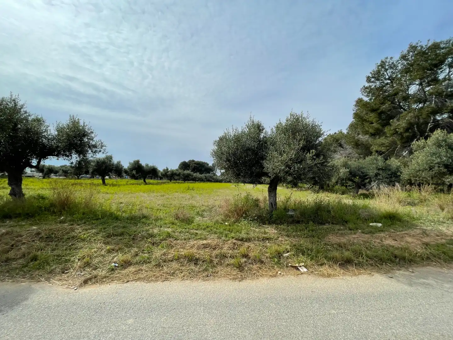 Grundstücke zum Verkauf in Cambrils
