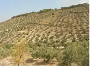 Terreni e lotti in vendita a Paraje Puerto Alto - Pol 26 -, imagen 6