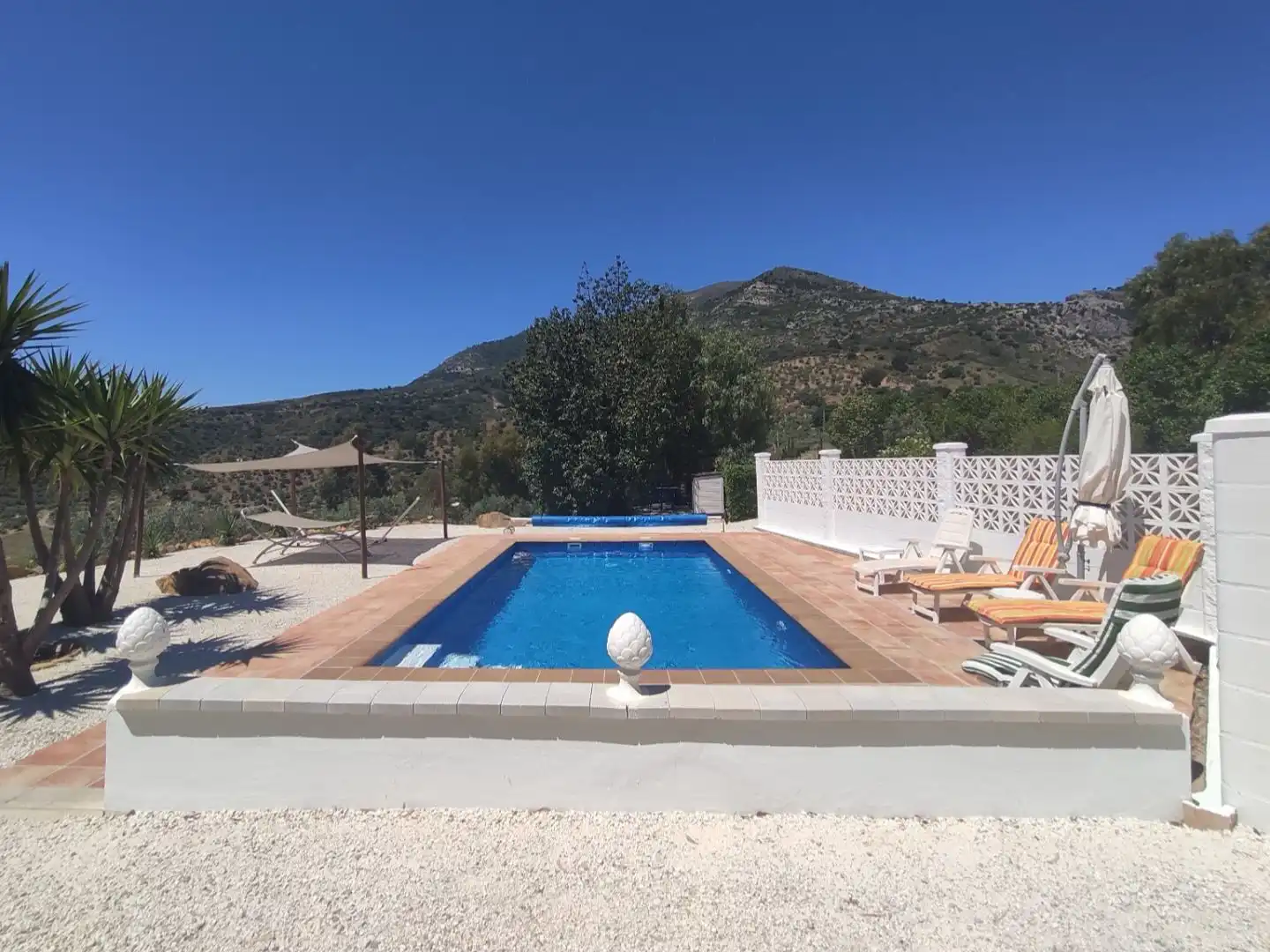 Xalet amb piscina en venda a Loma Taivilla y Almarajes 9e, imagen 4