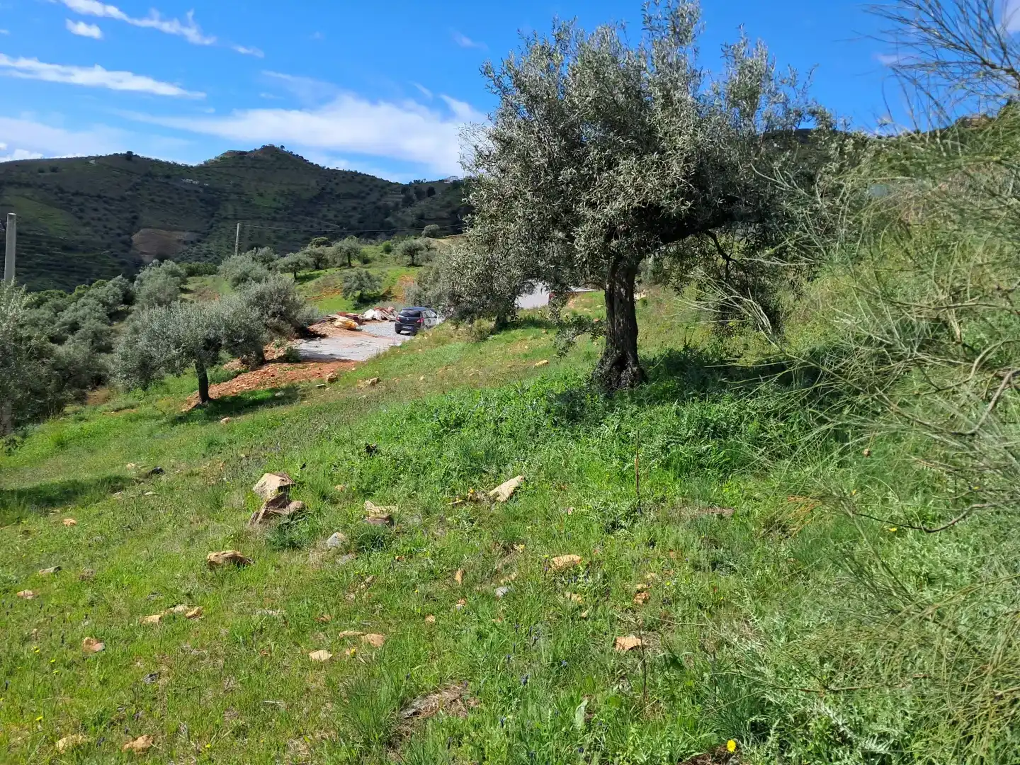 Finca rústica en venda en Almuñécar amb Traster, Moblat i Forn