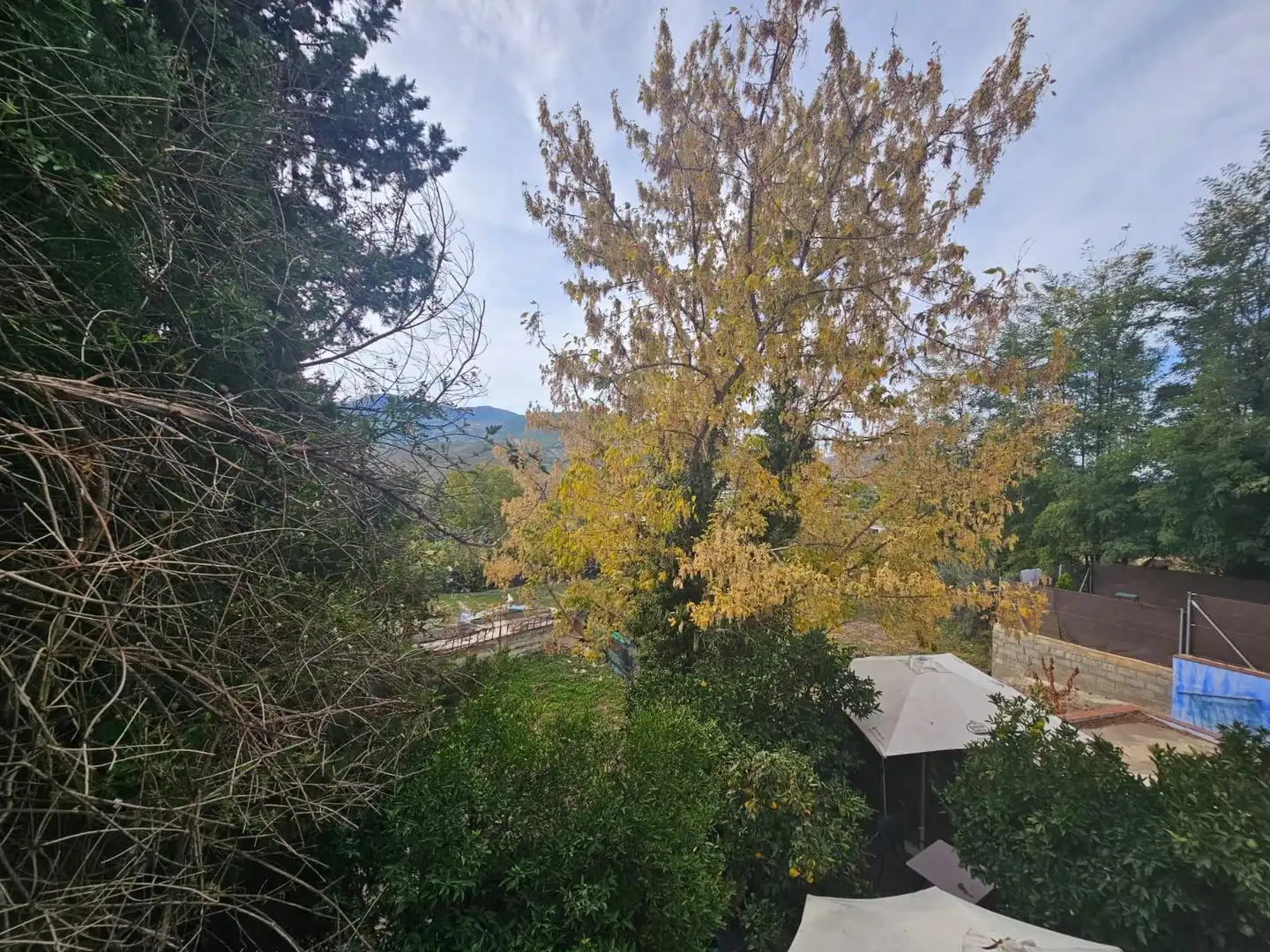 Garden of Houses for sale in Laujar de Andarax  with Private garden, Terrace and Furnished