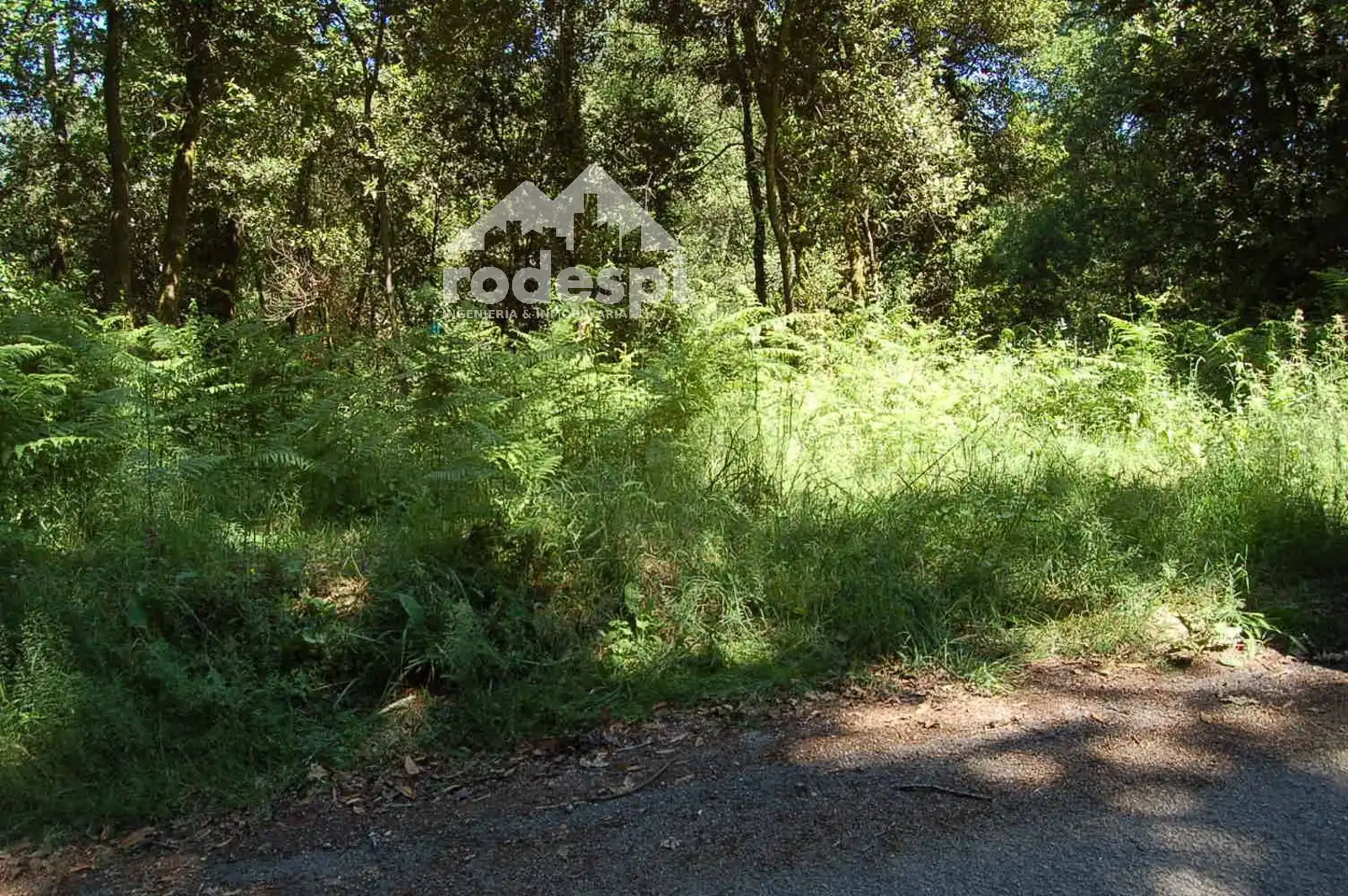 Terrain rustique à vendre à Salvaterra de Miño, imagen 4