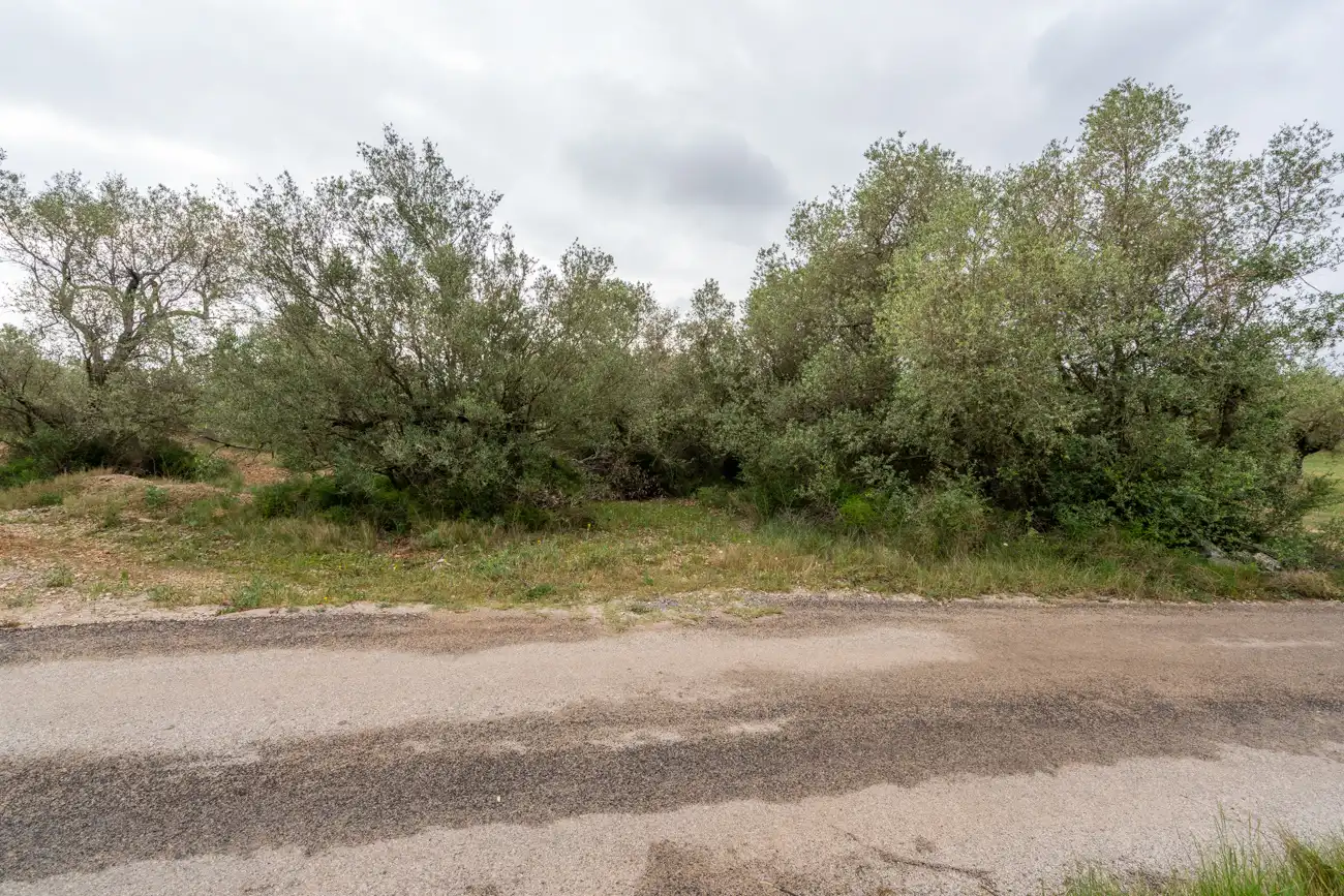 Terreno en venta en Mas de Barberans
