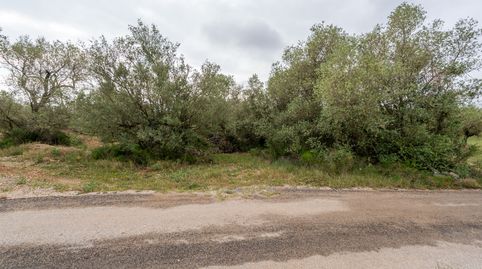 Foto 2 de Terreno en venta en N/a, -1, Mas de Barberans, Tarragona