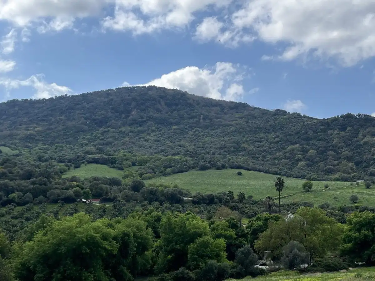Casa rústica en venta en Cortes de la Frontera