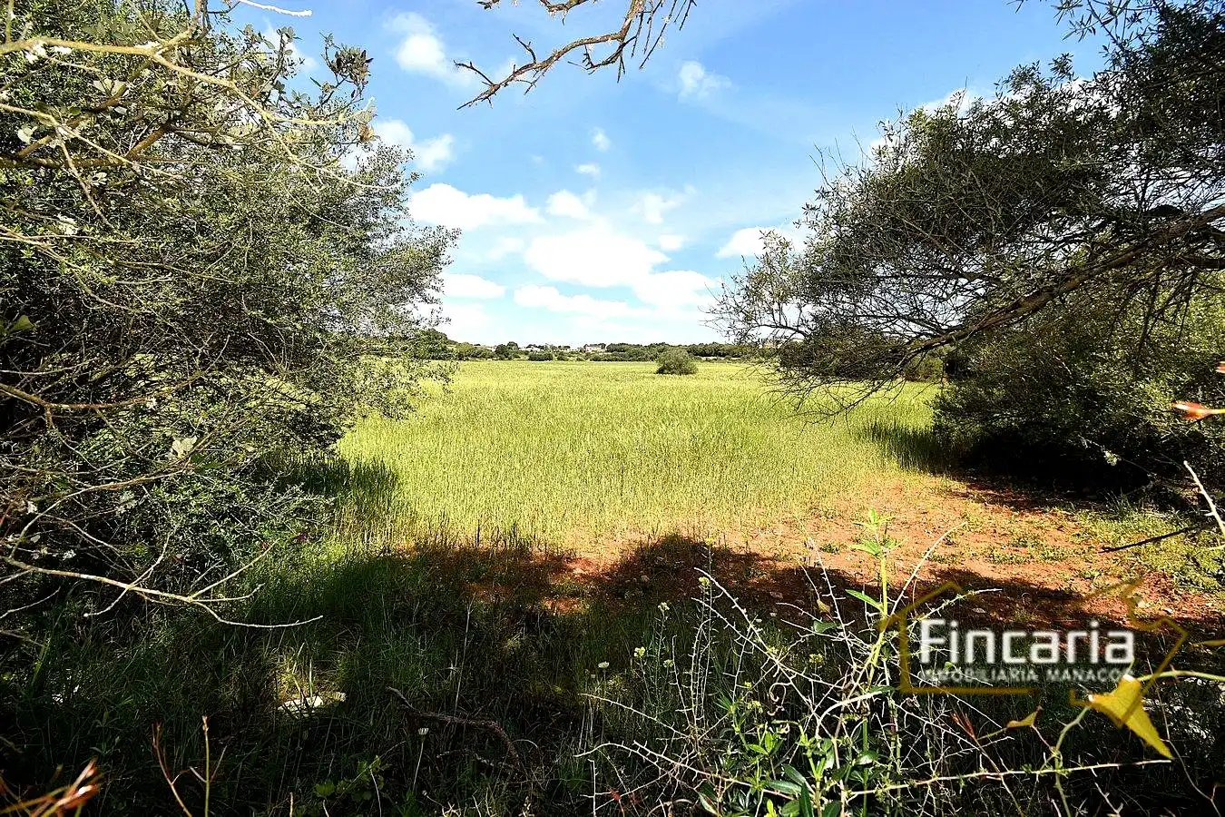 Lands and plots for sale in Ma-5120, imagen 11