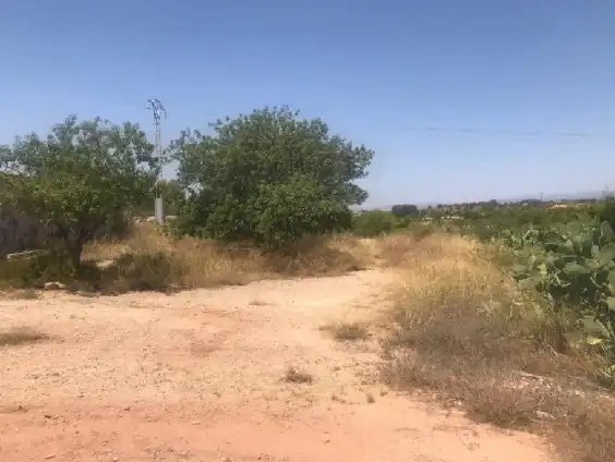 Terreny rústic en venda a Pla dels Aljubs, imagen 4