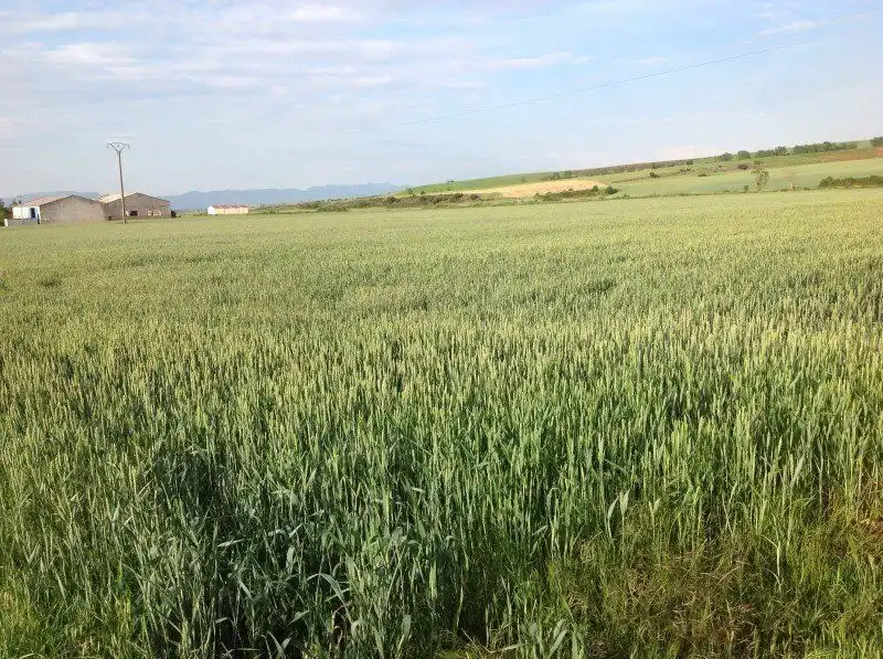 Lands and plots for sale in Santo Domingo de la Calzada, imagen 4
