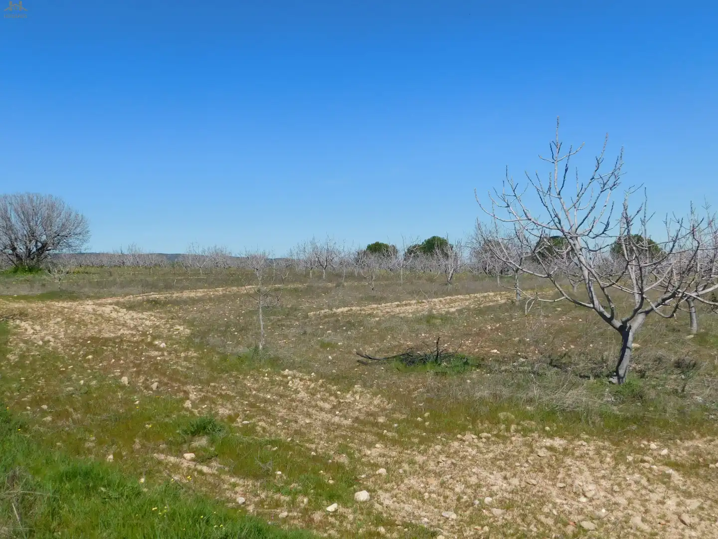 Terreno en venta en Villa del Prado
