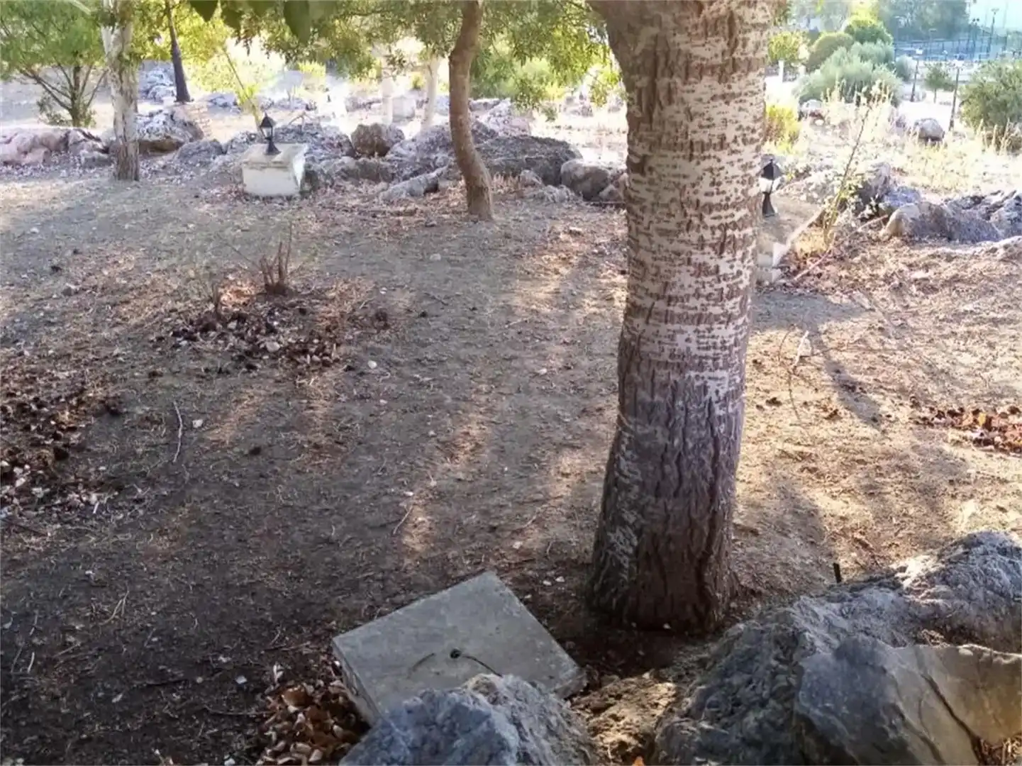 Land for sale in Algámitas