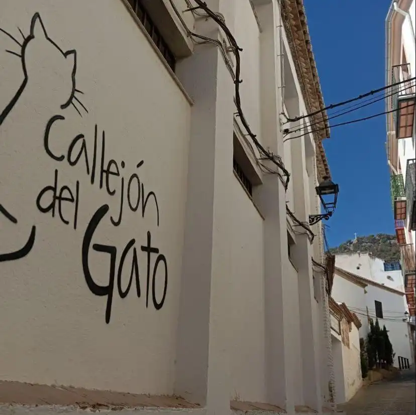 Exterior view of Houses for share in Jaén  with Air Conditioner, Private garden and Terrace